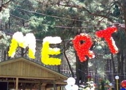 Gaziantep Harf Balon Süslemesi