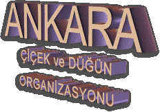 ankara �i�ek ve d���n organizasyonu