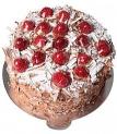 Ağrı pasta gurme-tat-keyfi-6-9-kisilik-cikolatali-frambuazli-yas-pasta_120_1771368486.jpg